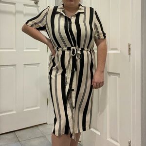 Striped Plus Sized Dress